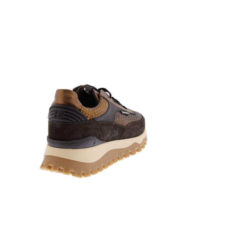 Floris Van Bommel sneakers bronze 4