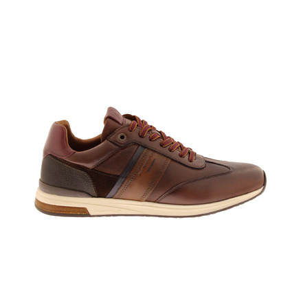 Ambitious sneakers bruin