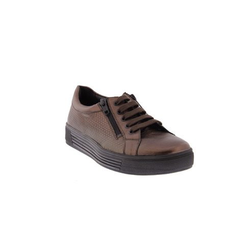 Solidus sneakers bronze