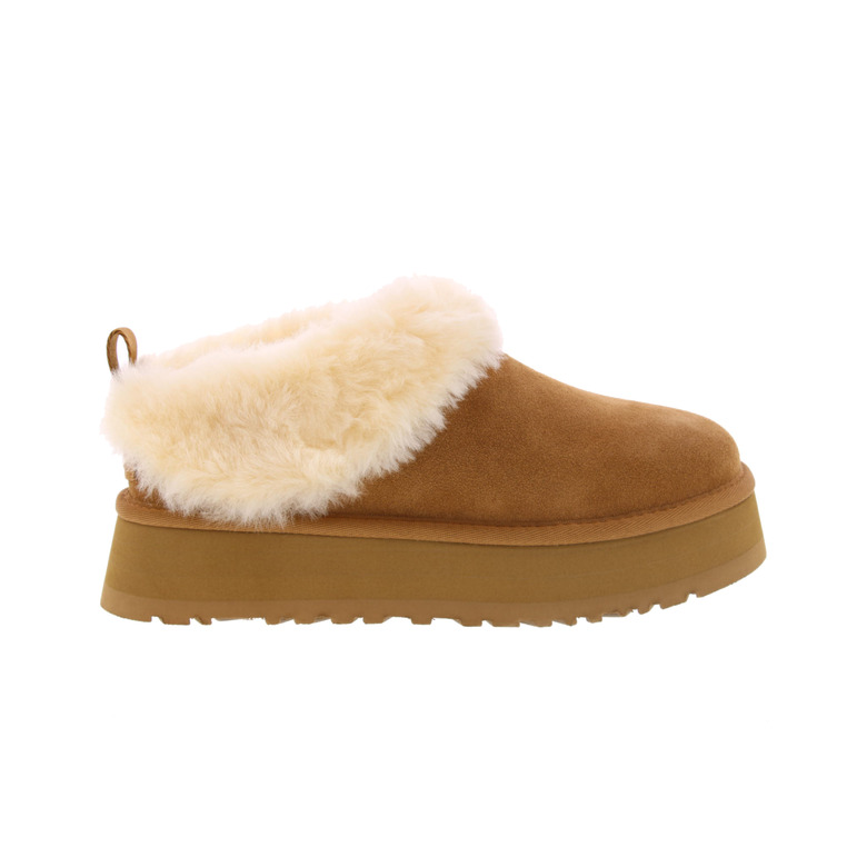Ugg stiefelette cognac 1