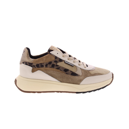 Floris Van Bommel sneakers taupe