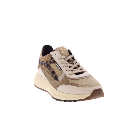 Floris Van Bommel sneakers taupe