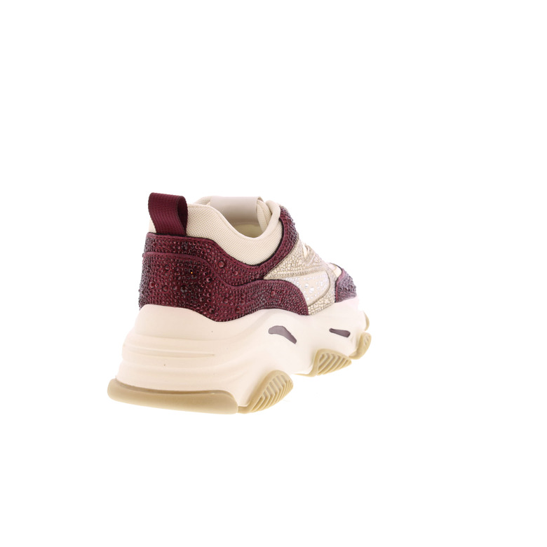 Steve Madden sneakers bordeaux 4