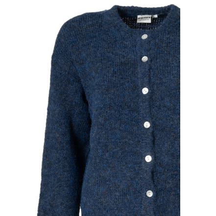 Ichi cardigan blauw