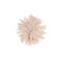 Natan broche --- 1