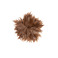 Natan broche --- 1