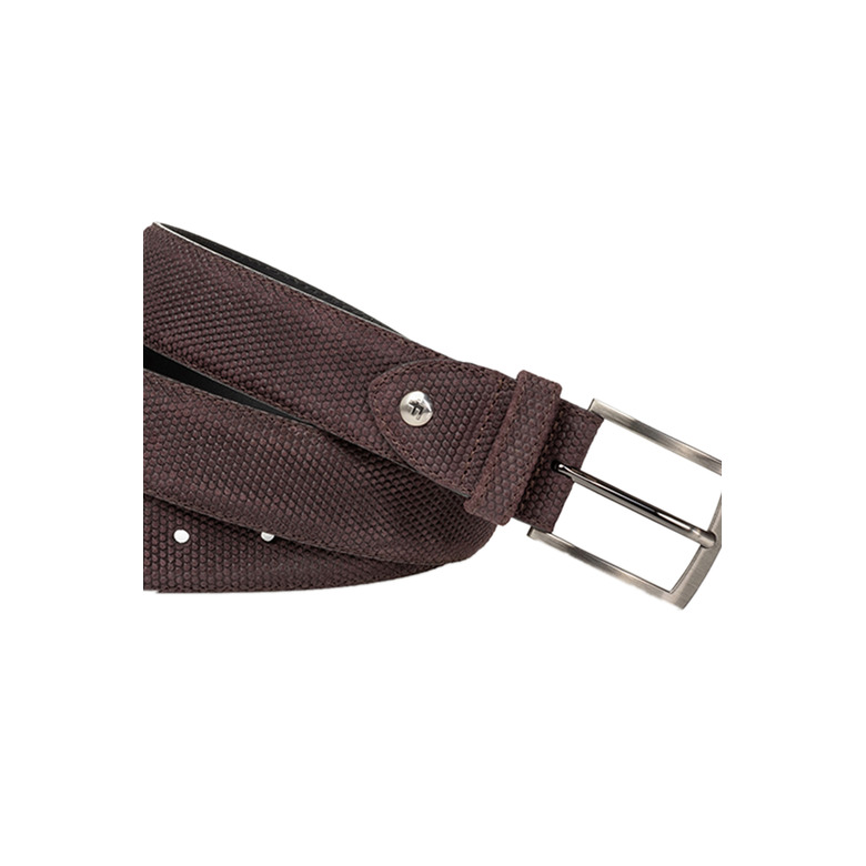 Floris Van Bommel belt brown 2