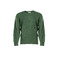 Castart trui groen 1