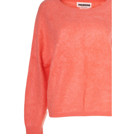 Colorush trui oranje