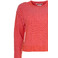 Colorush trui roze 2