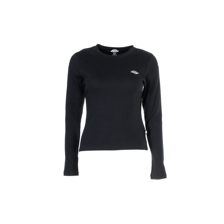 Dickies t-shirts black
