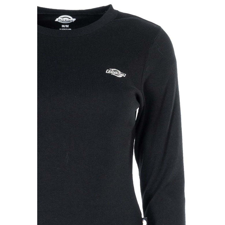 Dickies t-shirt schwarz 2