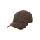 Stetson pet bruin 1