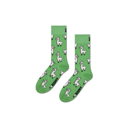 Happy Socks socken grÜn