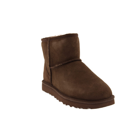 Ugg enkellaarsjes bruin