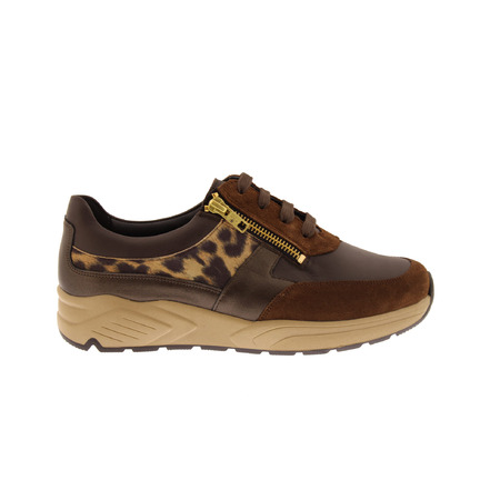 Solidus sneakers bruin