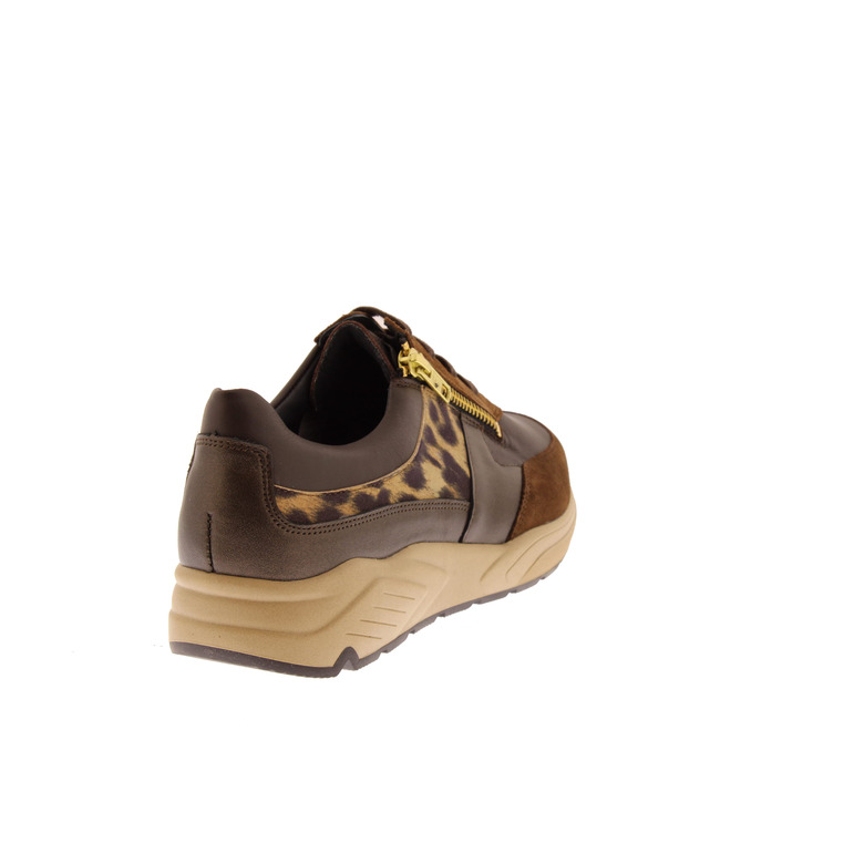 Solidus sneakers bruin 4