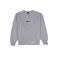 Antwrp sweater grau 1