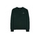 Antwrp sweater vert 1