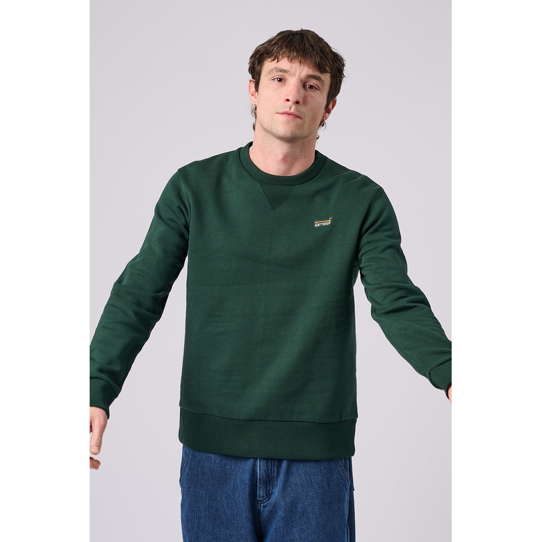 Antwrp sweater vert 2