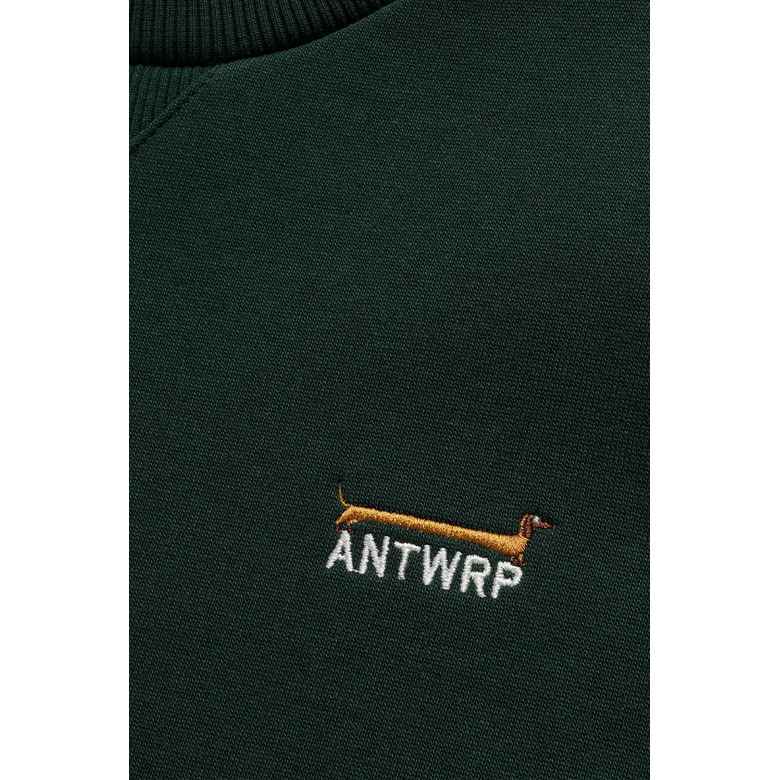 Antwrp sweater vert 3