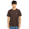 Element t-shirts brown 2