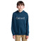 Element sweater green 2