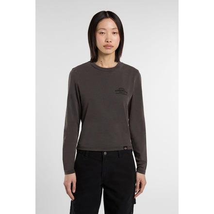 Dickies t-shirt grijs
