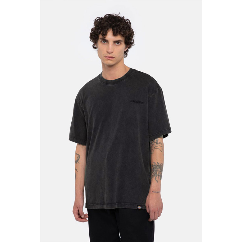 Dickies t-shirts grey 2