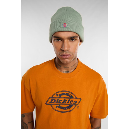 Dickies muts groen
