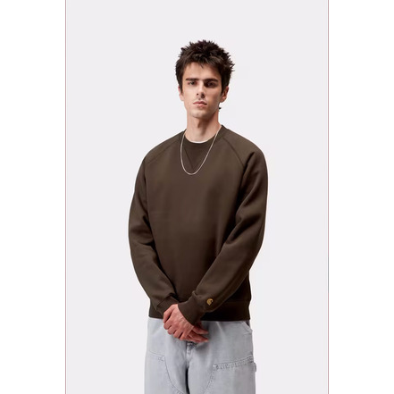 Carhartt Wip sweater bruin