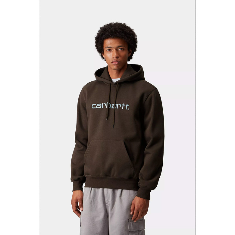 Carhartt Wip hoodie bruin 2