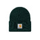 Carhartt Wip hoed groen 1