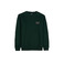 Antwrp sweater groen 1