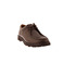 Ambiorix lace shoes brown 2