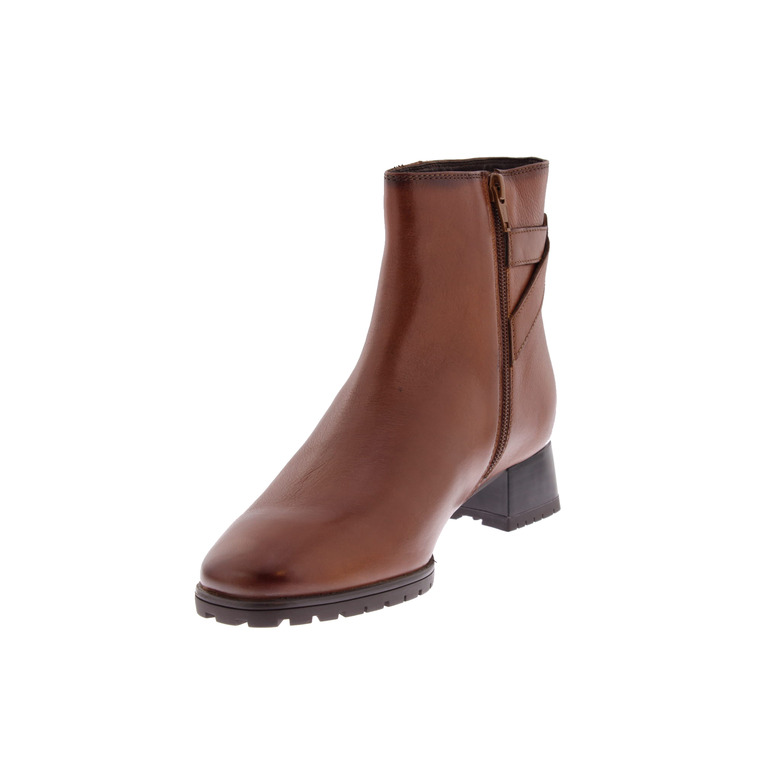 Ara bottillons cognac 3