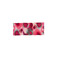 Les Cordes sjaal roze 2