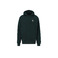 Iriedaily hoodie green 1
