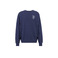 Iriedaily sweater blue 1