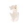 Dnsk earrings gold 1