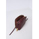 Smaak crossbody bordeaux 4