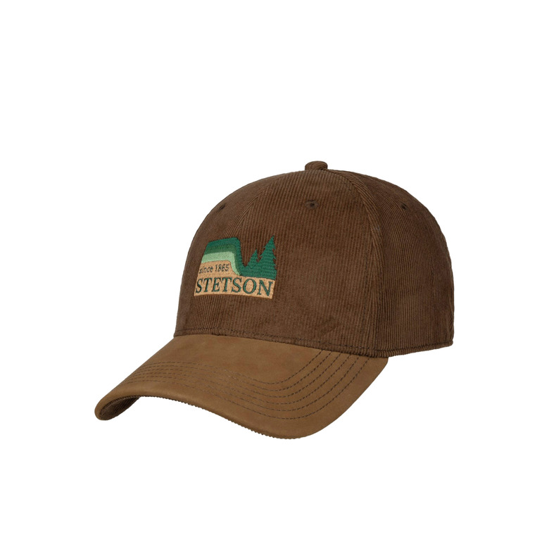Stetson hat brown