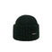 Stetson beanie green