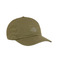 Dickies hat green 1