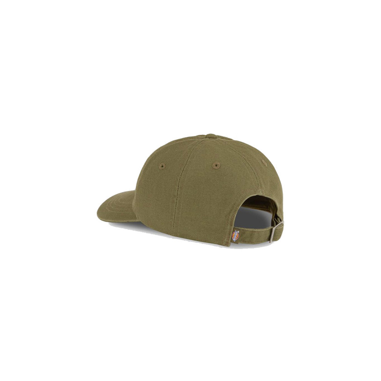 Dickies hat green 2