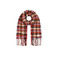 Barts scarf multicolor 1