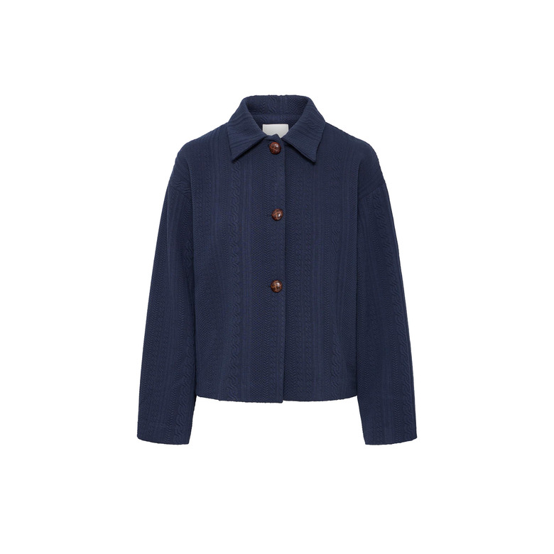 Ichi cardigan blauw 1