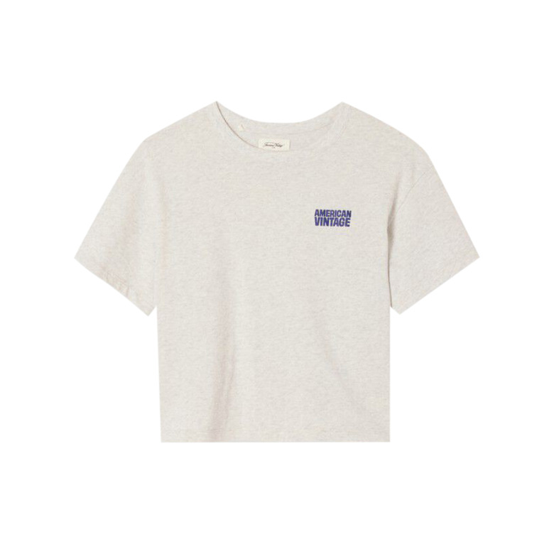 American Vintage t-shirt grijs 1