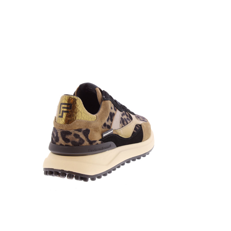 Floris Van Bommel sneakers taupe 4