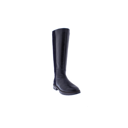 Ara bottes bleu